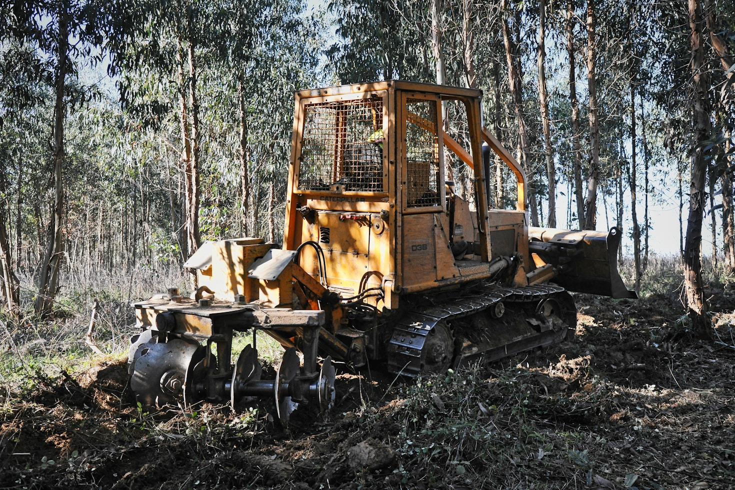 Przyszłość zmechanizowanego karczowania zarośli
